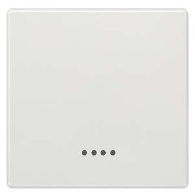 DELTA style. titanium white Rocker switch with window. 68x 68 mm for pilot lamp/off/changeover switch for pushbutton with separate feedback signal