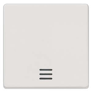 DELTA i-system titanium white Rocker switch with window, 55x 55 mm for pilot lamp/off/changeover switch for neutral pushbutton and for push-buttons with separate feedback signal
