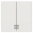 DELTA i-system titanium white Rocker switch with window for Series/double two-way switch 55x 55 mm