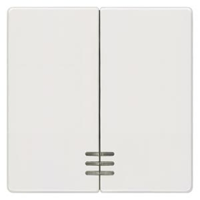 DELTA i-system titanium white Rocker switch with window for Series/double two-way switch 55x 55 mm