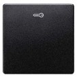DELTA i-system carbon metallic Rocker switch with door opener symbol for pushbutton, 55x 55 mm
