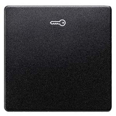 DELTA i-system carbon metallic Rocker switch with door opener symbol for pushbutton, 55x 55 mm