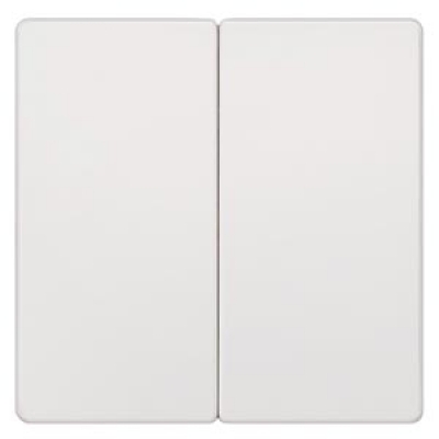 DELTA i-system titanium-white rocker switch Rocker switch for Series/double two-way switch for double pushbutton, 55x 55 mm