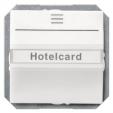 DELTA i-system HotelCard switch illuminated titanium white, 55x 55 mm