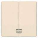 DELTA i-system electrical white Rocker switch with window for series/double two-way switch 55x 55 mm