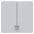 DELTA i-system aluminum-metallic Rocker switch with window for series/double two-way switch 55x 55 mm