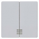 DELTA i-system aluminum-metallic Rocker switch with window for series/double two-way switch 55x 55 mm