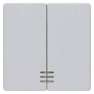 DELTA i-system aluminum-metallic Rocker switch with window for series/double two-way switch 55x 55 mm