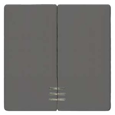 DELTA i-system carbon metallic Rocker switch with window for Series/double two-way switch 55x 55 mm