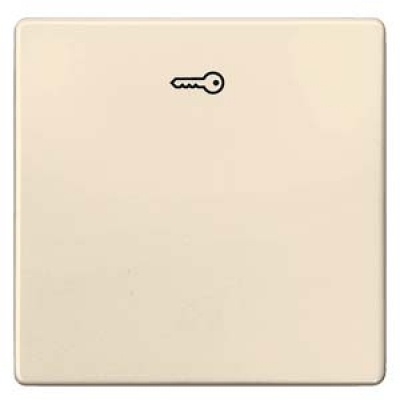 DELTA i-system electrical white Rocker switch with door opener symbol for pushbutton, 55x 55 mm