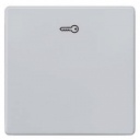 DELTA i-system aluminum-metallic Rocker switch with door opener symbol for pushbutton, 55x 55 mm