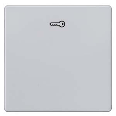 DELTA i-system aluminum-metallic Rocker switch with door opener symbol for pushbutton, 55x 55 mm