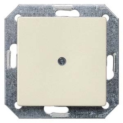 DELTA i-system electrical white blanking plate, 55x 55 mm