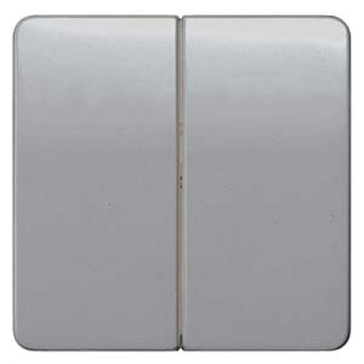 DELTA profil, silver Rocker switch, 65x 65 mm for series/double two-way switch for double pushbutton for pushbutton 2-fold Mid-position