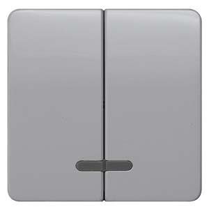 DELTA profil, silver Rocker switch with window for pushbutton 2-fold for pushbutton 2-fold Mid-position 65x 65 mm