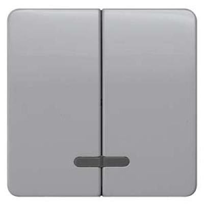 DELTA profil, silver Rocker switch with window for pushbutton 2-fold for pushbutton 2-fold Mid-position 65x 65 mm