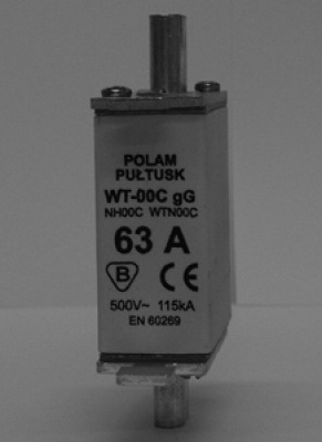 WT-00/gF 80A G fuse link